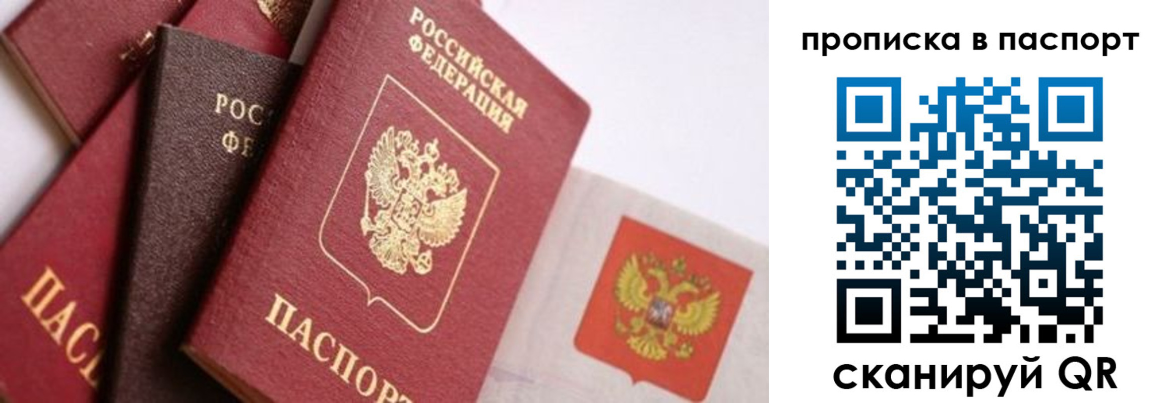 прописка штамп в Клинцах